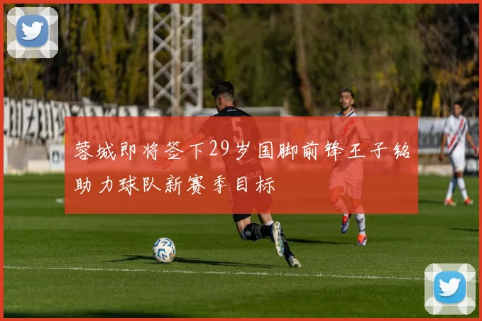 蓉城即将签下29岁国脚前锋王子铭助力球队新赛季目标