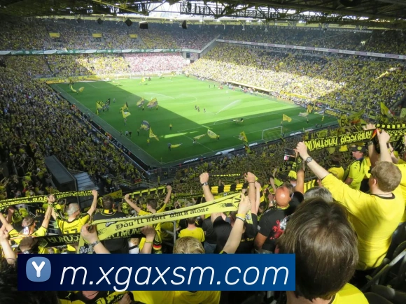 爱游戏体育官网品牌故事