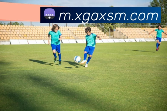 爱游戏体育官网服务体系